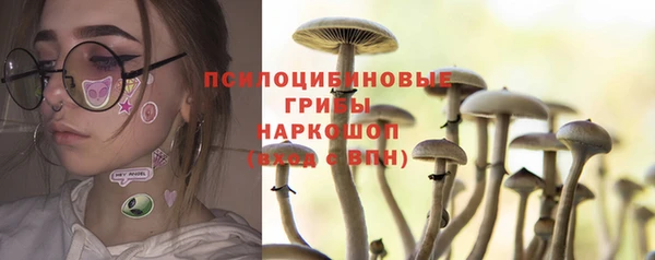 скорость Заводоуковск