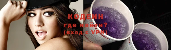 шишки Заволжск