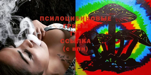 МДПВ Зеленокумск