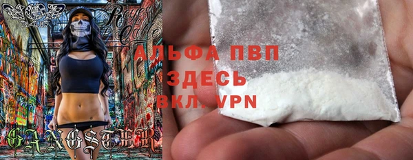 шишки Заволжск
