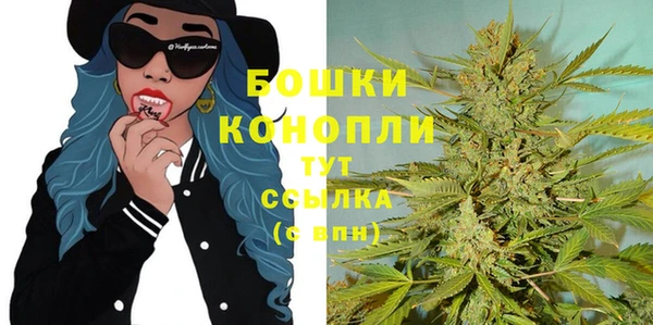 шишки Заволжск