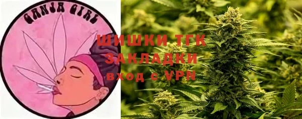 скорость Заводоуковск